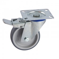 Roulette Inox Pivotante A...